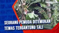 Seorang Pemuda Ditemukan...