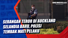 Serangan Teror di Auckland...