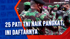 25 Pati TNI Naik Pangkat,...