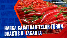 Harga Cabai dan Telur...