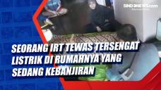 Seorang IRT Tewas Tersengat...
