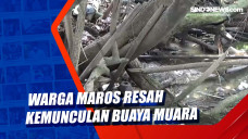 Warga Maros Resah Kemunculan...