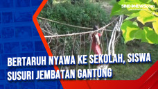 Bertaruh Nyawa ke Sekolah,...