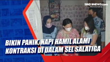 Bikin Panik, Napi Hamil...