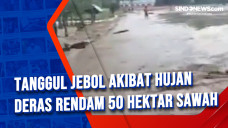 banjir bandangTanggul...