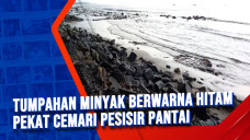 Tumpahan Minyak Berwarna...