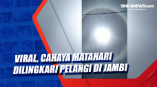 Viral, Cahaya Matahari...