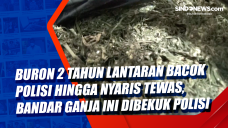 Buron 2 Tahun Lantaran...