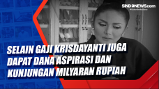 Jadi Anggota DPR, Selain...