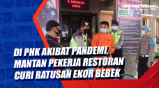 Di PHK Akibat Pandemi,...