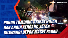 Pohon Tumbang akibat...