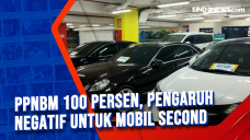 PPnBM 100 Persen, Pengaruh...