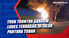 Truk Tronton Gandum...