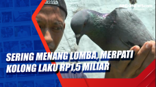 Sering Menang Lomba,...