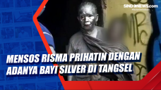 Mensos Risma Prihatin...