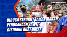 Diduga Serobot Taman...