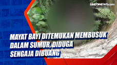 Mayat Bayi Ditemukan...