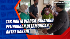 Tak Hanya Warga, Binatang...