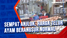 Sempat Anjlok, Harga...