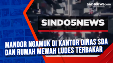 Mandor Ngamuk di Kantor...