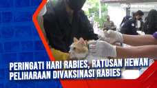 Peringati Hari Rabies,...