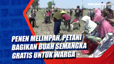 Penen Melimpah, Petani...