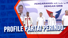 Profile Partai Perindo