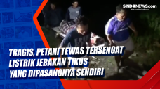 Tragis, Petani Tewas...
