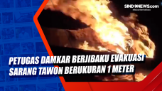 Petugas Damkar Berjibaku...