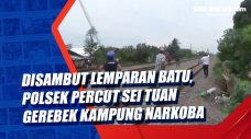 Disambut Lemparan Batu,...