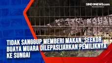 Tidak Sanggup Memberi...