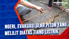 Ngeri, Evakuasi Ular...