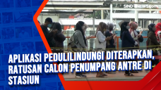Aplikasi PeduliLindungi...