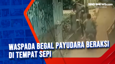 Waspada Begal Payudara...