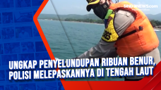 Ungkap Penyelundupan...