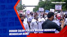Ribuan Calon Pekerja...
