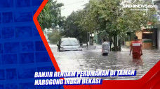 Banjir Rendam Perumahan...