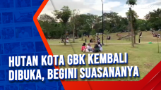 Hutan Kota GBK Kembali...