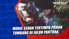 Mobil Sedan Tertimpa...