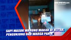 Sapi Masuk Warung Makan...