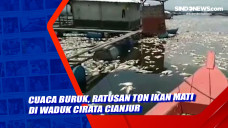 Cuaca Buruk, Ratusan...
