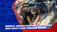 Dramatis, 2 Buaya Dewasa...