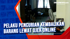 Pelaku Pencurian Kembalikan...