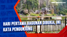 Hari Pertama Ragunan...
