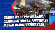 Syarat Wajib PCR Maskapai...