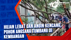 Hujan Lebat dan Angin...