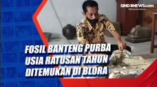 Fosil Banteng Purba...