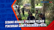 Sedang Beraksi, Puluhan...