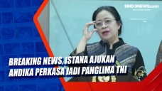 Breaking News, Istana...