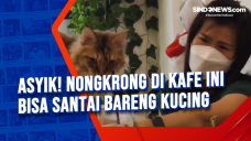 Asyik! Nongkrong di...